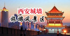 性感小萝莉自慰中国陕西-西安城墙旅游风景区